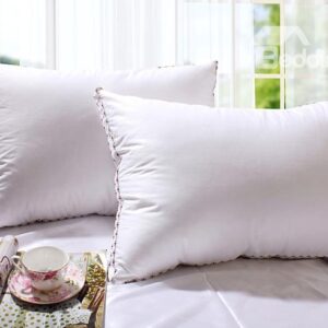 2-Piece White Decorative Down Pillows