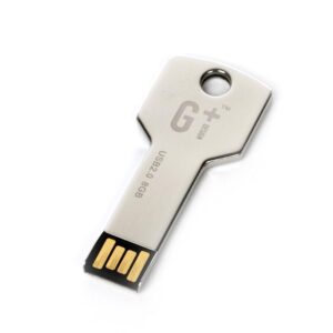 Amazing Mini LENK Hot Sale Key Shape 4G Or 8G USB Flash Disk