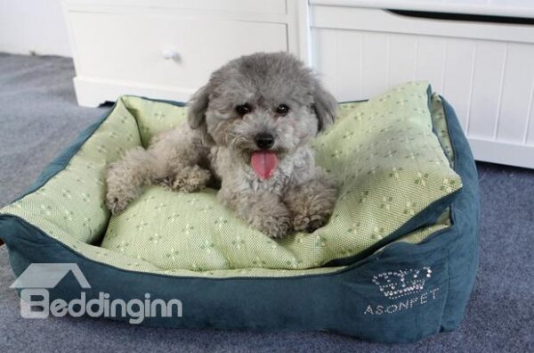 New Arrival Green Cool Deluxe Cute Pet Beds For Summer