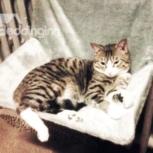 New Arrival Fashion Soft Cashmere Deluxe Cat Hanging Bed