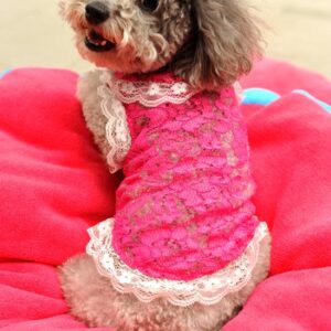 Beautiful Pink with White Lace Dog summer Clothing