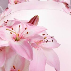 Elegant Pink Lilies Print 4 Piece Bedding Sets