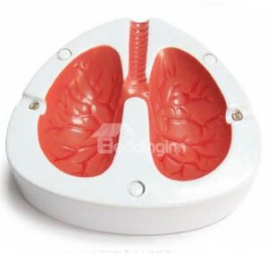 New Arrival Original Cough Lung Shape Less Smoke Reminder Vocal Ashtray
