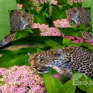 New Arrival 100% Cotton Green Color Leopard in the Jungle Print 4 Piece Bedding Sets