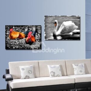 New Arrival Colorful Cock and White Duck Print 2-piece Cross Film Wall Art Prints