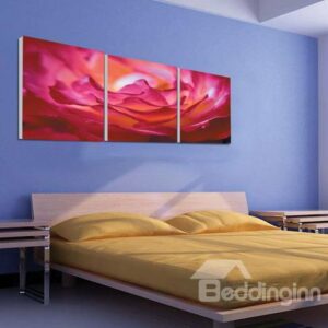 New Arrival Beautiful Pink Flower Petals Print 3-piece Cross Film Wall Art Prints