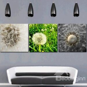 New Arrival Lovely Dandelions Print 3-piece Cross Film Wall Art Prints