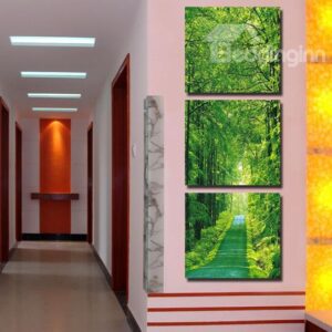 New Arrival Beautiful Green Path in the Woods Print 3-piece Cross Film Wall Art Prints