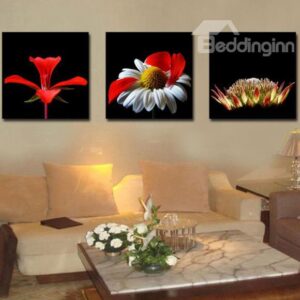New Arrival Gorgeous Red Flowers and Stamen Print 3-piece Cross Film Wall Art Prints