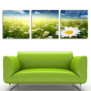 New Arrival Daisy In The Sunshine Film Wall Art Prints