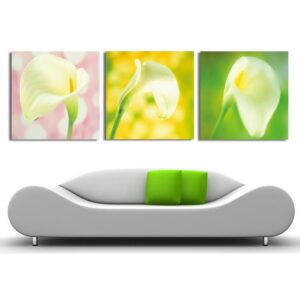 New Arrival Elegant Tulip Under Sunshine Film Wall Art Prints