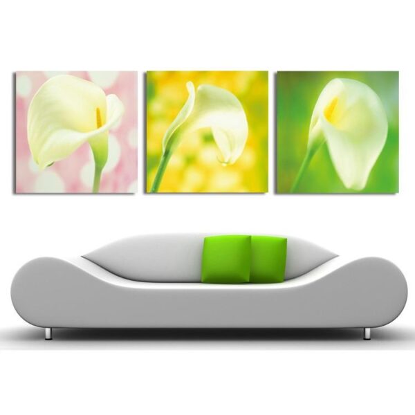 New Arrival Elegant Tulip Under Sunshine Film Wall Art Prints