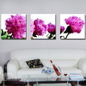 New Arrival Delicate Carnation Canvas Wall Prints