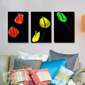 New Arrival Colorful Flower Canvas Wall Prints