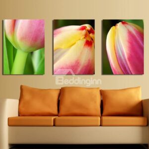 New Arrival Delicate Pink Tulip Canvas Wall Prints
