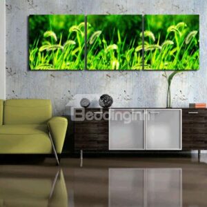 New Arrival Green Grass Toward Sunshine Canvas Wall Prints