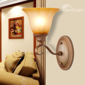 European Bronze Iron Marerial Glass Shade Wall Light