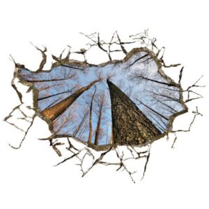 Stunning Creative 3D Woods Wall Sticker