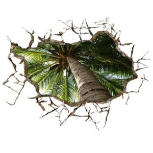 Amazing Creative 3D Coconut Tree Wall Sticker