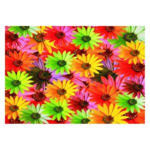 Pretty Colorful Flowers Pattern Non-slip Doormat