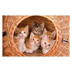 Super Cute Cats in a Bamboo Basket Pattern Non-slip Doormat