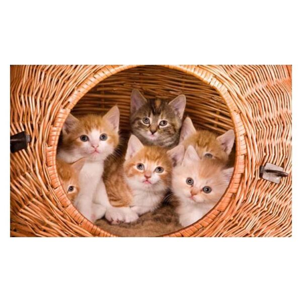 Super Cute Cats in a Bamboo Basket Pattern Non-slip Doormat
