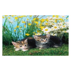 Super Lovely Cats on the Ground Pattern Non-slip Doormat