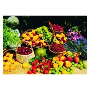 Charming all Kinds of Fruits in the Baskets Pattern Non-slip Doormat