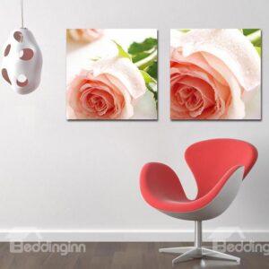 Pretty Romantic Pink Roses Film Art Wall Prints