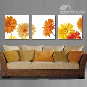 Flattering Daisy Toward Sunshine Film Art Wall Prints