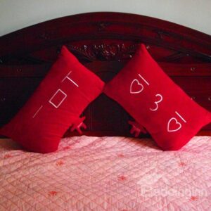 Quality Fancy Creative Cute Plush Red Two-piece Bed Pillow