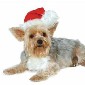 New Arrival Lovely Fashion Red Hat for Pet