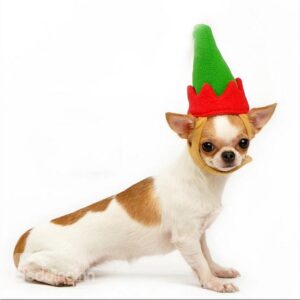 New Arrival Lovely Fabulous Christmas Gift Green Hat for Pet