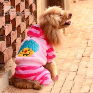 Fancy Halloween Smile Pumpkin Design Dog Clothing