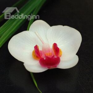 New Arrival Noble and Elegant Moth Orchid Candle