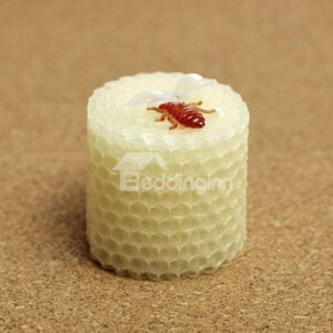 Creative Handwork 100% Natural Bee Wax Candle