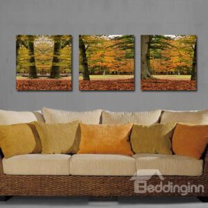 Pretty Maple Leaves 3-Pieces of Crystal Film Art Wall Print