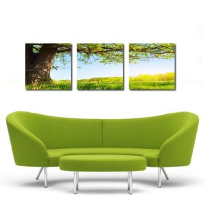 Fantastic Life Tree 3-Pieces of Crystal Film Art Wall Print