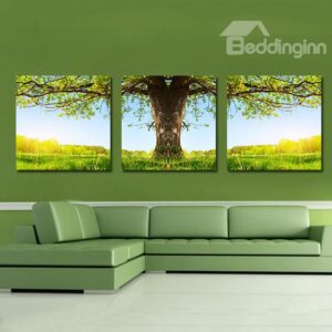 Amazing Tree 3-Pieces of Crystal Film Art Wall Print