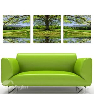 Green Grass and Tree 3-Pieces of Crystal Film Art Wall Print