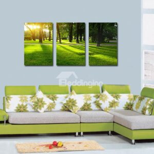 Pretty Grassland 3-Pieces of Crystal Film Art Wall Print