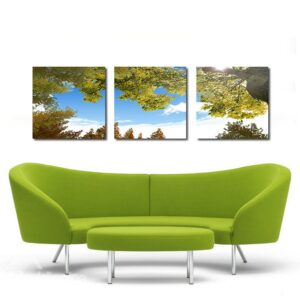 Beautiful Sky 3-Pieces of Crystal Film Art Wall Print