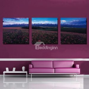 New Arrival Beautiful 3-Pieces of Crystal Film Art Wall Print