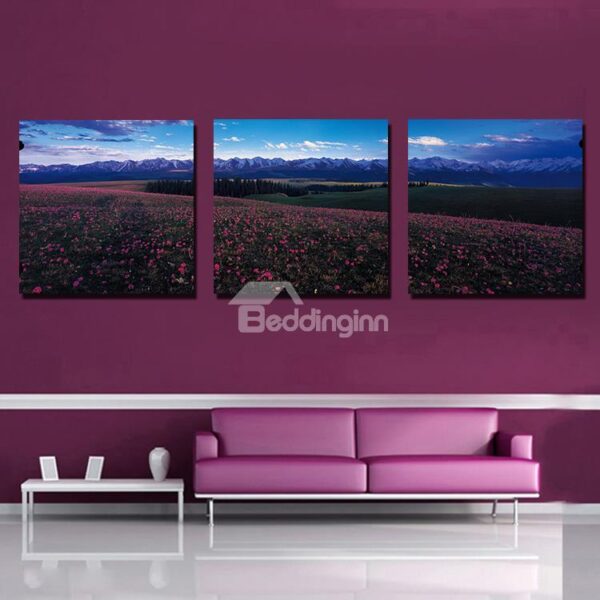 New Arrival Beautiful 3-Pieces of Crystal Film Art Wall Print