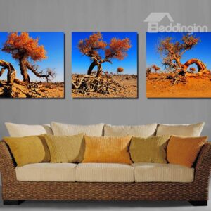 Pretty Old Trees 3-Pieces of Crystal Film Art Wall Print