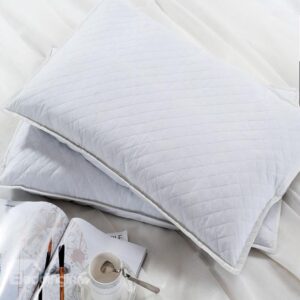 New Style Buckwheat Shell Filling Pure White A Pair Bed Pillow