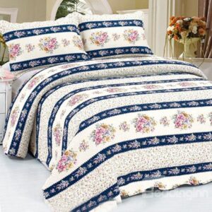 Ultra Wonderful Beautiful Floral Stripes 3-Piece Bed in a Bag Set