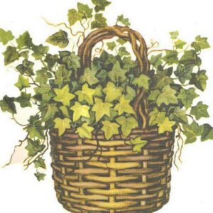 Fantastic Waterproof Flower Basket Wall Stickers