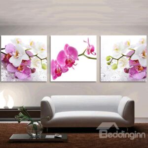 Pretty Moth Orchid 3-Piece Crystal Film Art Wall Print
