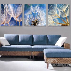 Fantastic Dandelion 3-Piece Crystal Film Art Wall Print